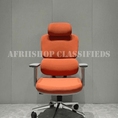 Ergonomic-Orthopedic-Office-Chair